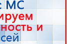 СКЭНАР-1-НТ (исполнение 01)  купить в Алапаевске, Аппараты Скэнар купить в Алапаевске, Дэнас официальный сайт denasolm.ru