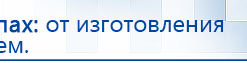СКЭНАР-1-НТ (исполнение 01 VO) Скэнар Мастер купить в Алапаевске, Аппараты Скэнар купить в Алапаевске, Дэнас официальный сайт denasolm.ru